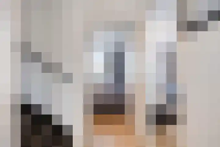 Meersingel 31 Pijnacker thumbnail 25