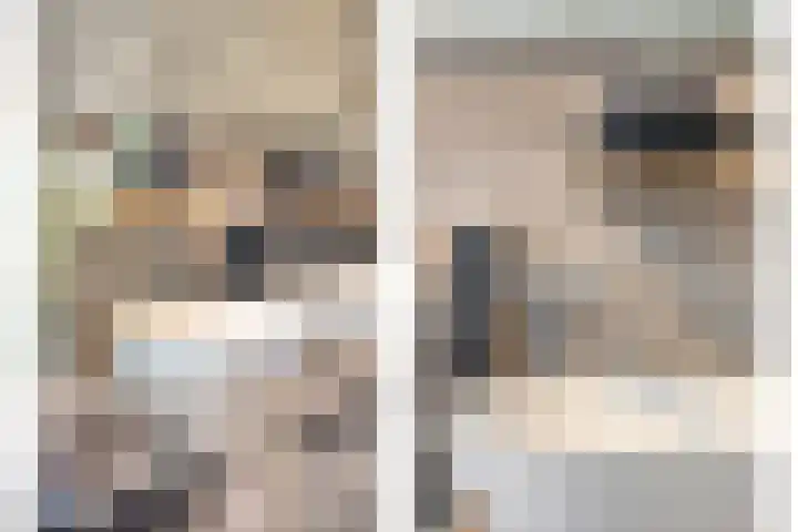 Meersingel 31 Pijnacker thumbnail 37