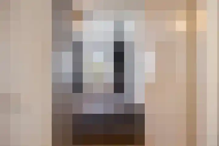 Meersingel 31 Pijnacker thumbnail 39