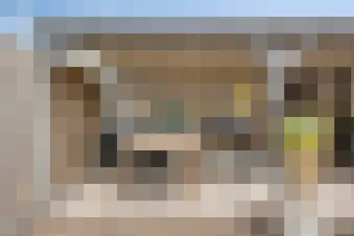 Meersingel 31 Pijnacker thumbnail 52