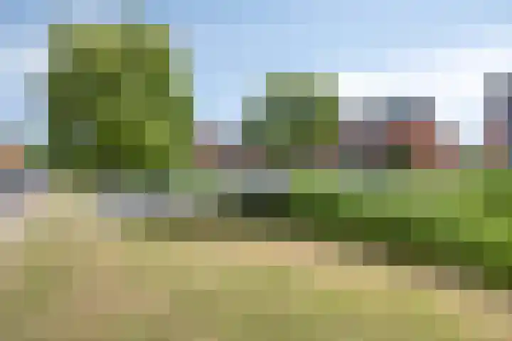 Meersingel 31 Pijnacker thumbnail 53
