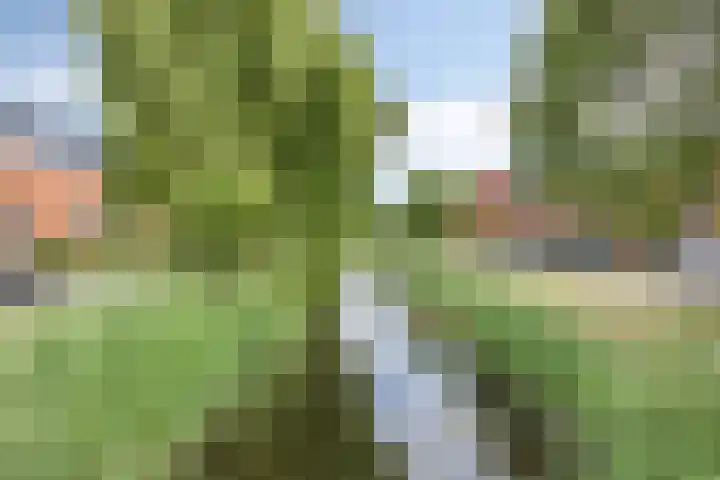 Meersingel 31 Pijnacker thumbnail 54
