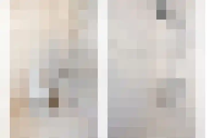 Meersingel 41 Pijnacker thumbnail 21
