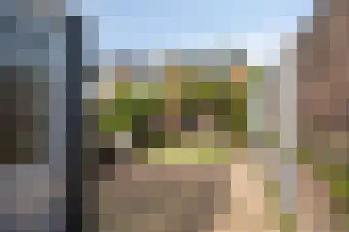 Meersingel 41 Pijnacker thumbnail 31