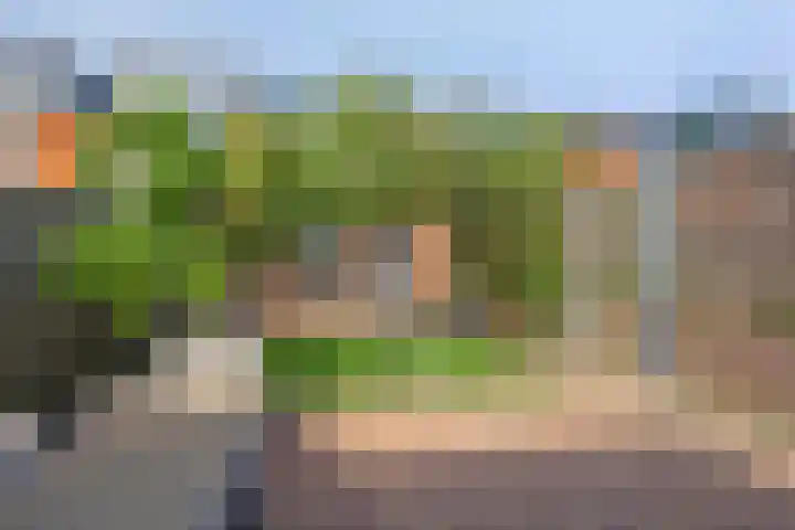 Meersingel 41 Pijnacker thumbnail 32