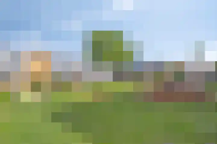Meersingel 41 Pijnacker thumbnail 36