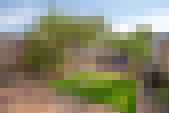 Meersingel 41 Pijnacker thumbnail 4