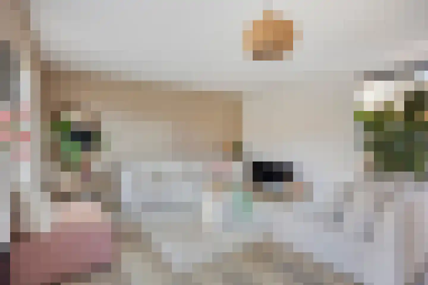 Meersingel 53 Pijnacker thumbnail 11
