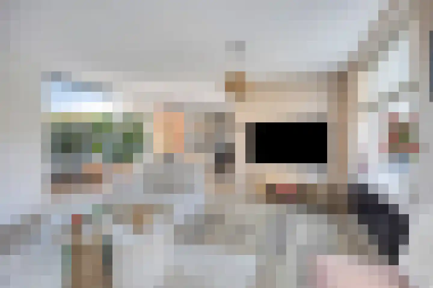 Meersingel 53 Pijnacker thumbnail 12
