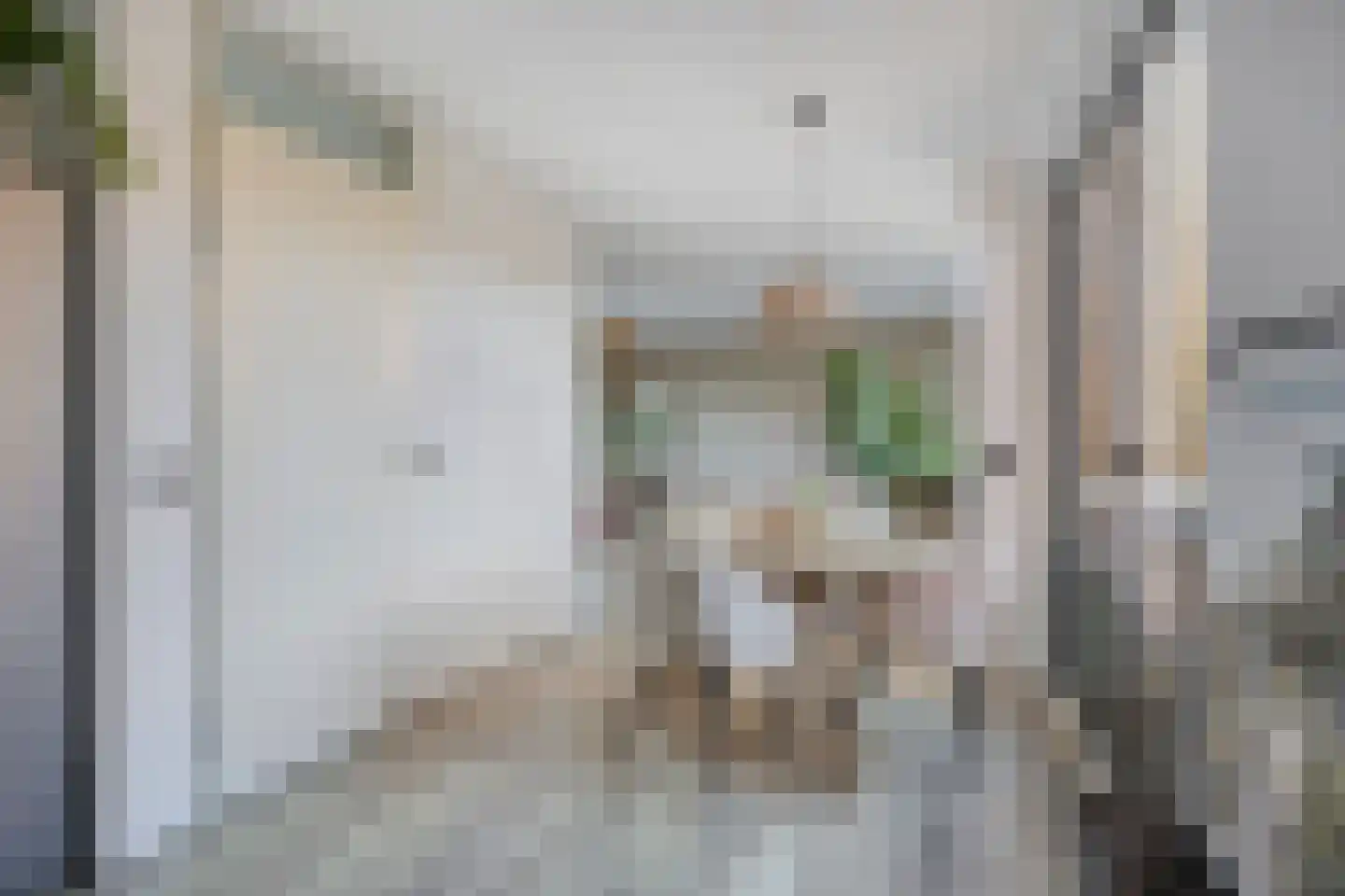 Meersingel 53 Pijnacker thumbnail 16