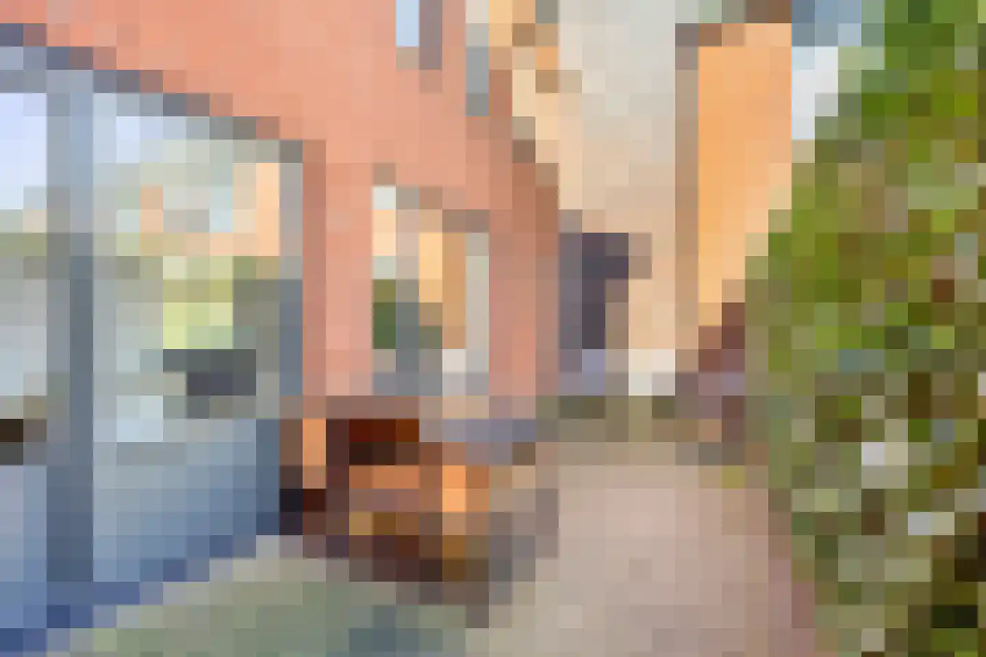 Meersingel 53 Pijnacker thumbnail 35