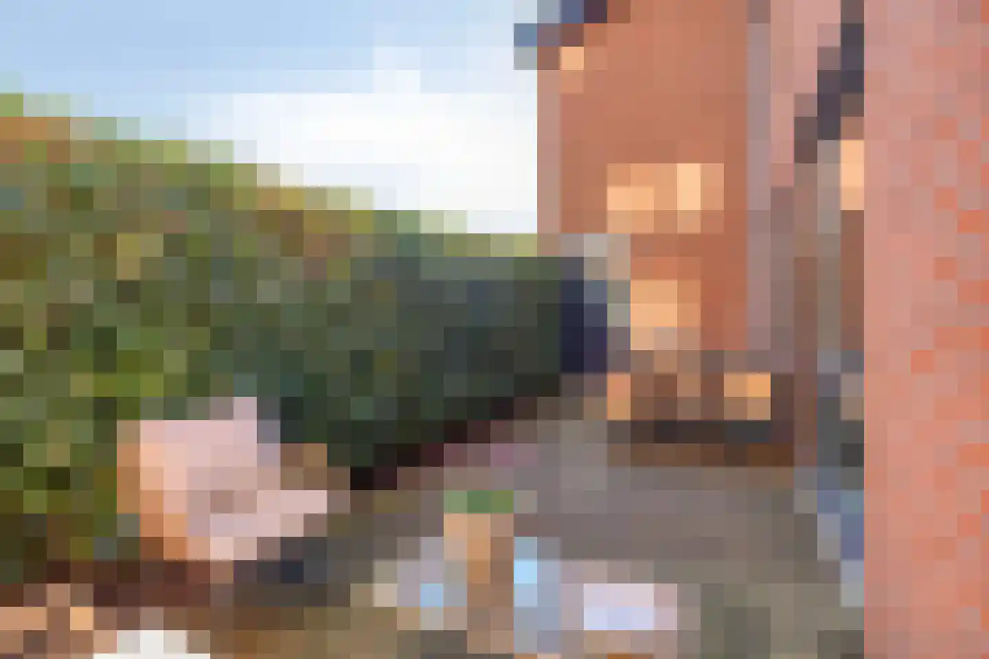 Meersingel 53 Pijnacker thumbnail 37