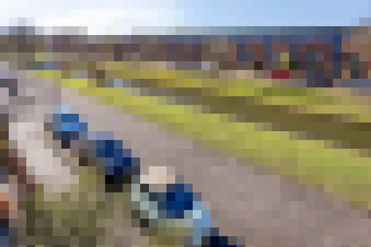 Meersingel 53 Pijnacker thumbnail 46
