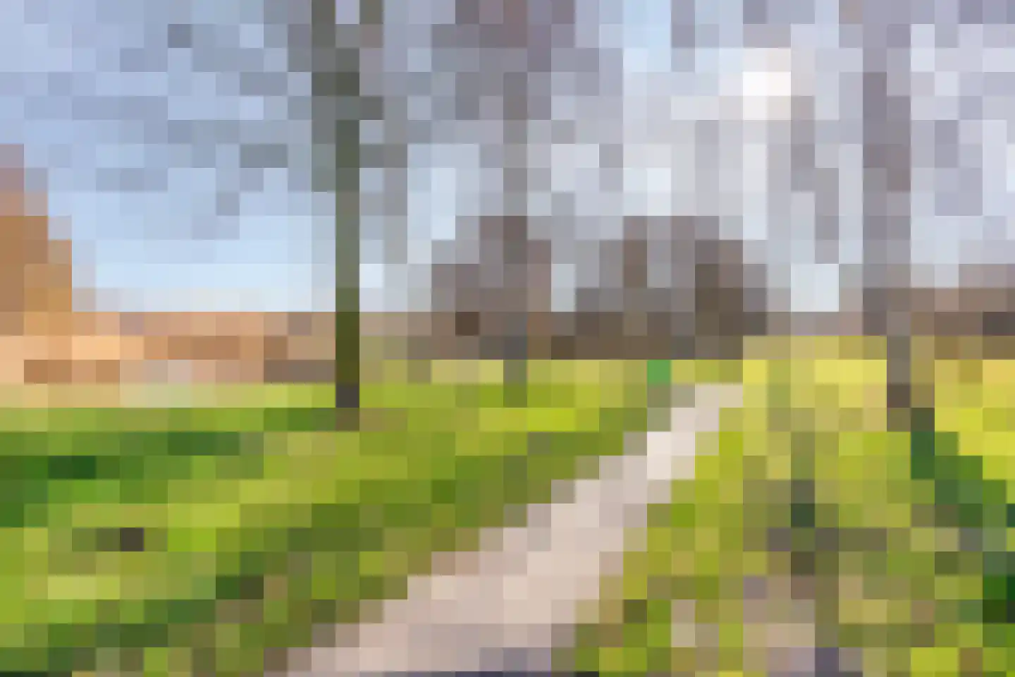 Meersingel 53 Pijnacker thumbnail 48