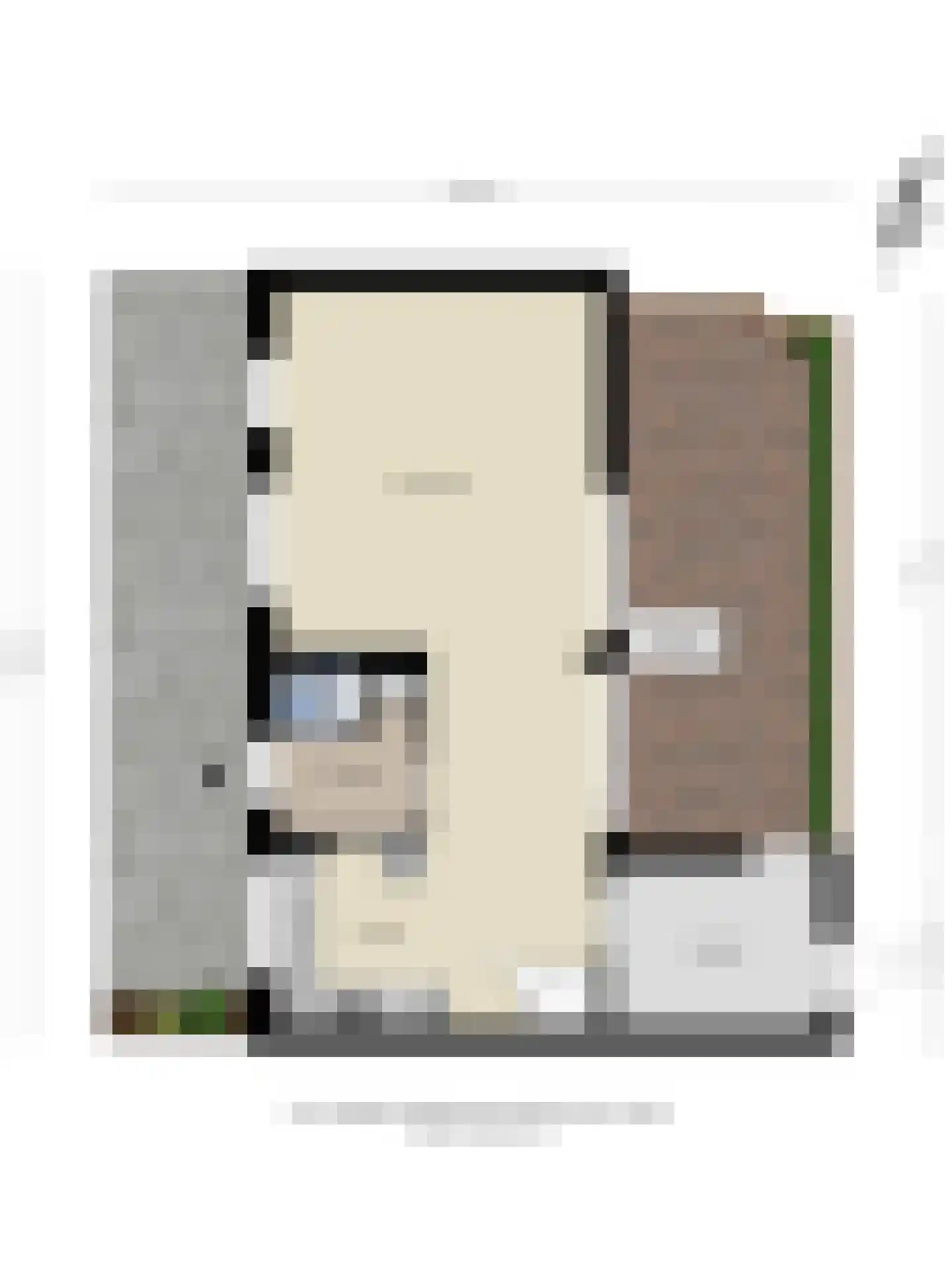 Meersingel 53 Pijnacker thumbnail 53