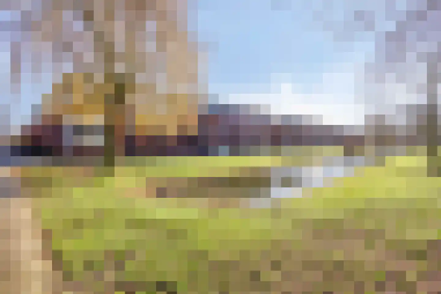 Meersingel 53 Pijnacker thumbnail 9