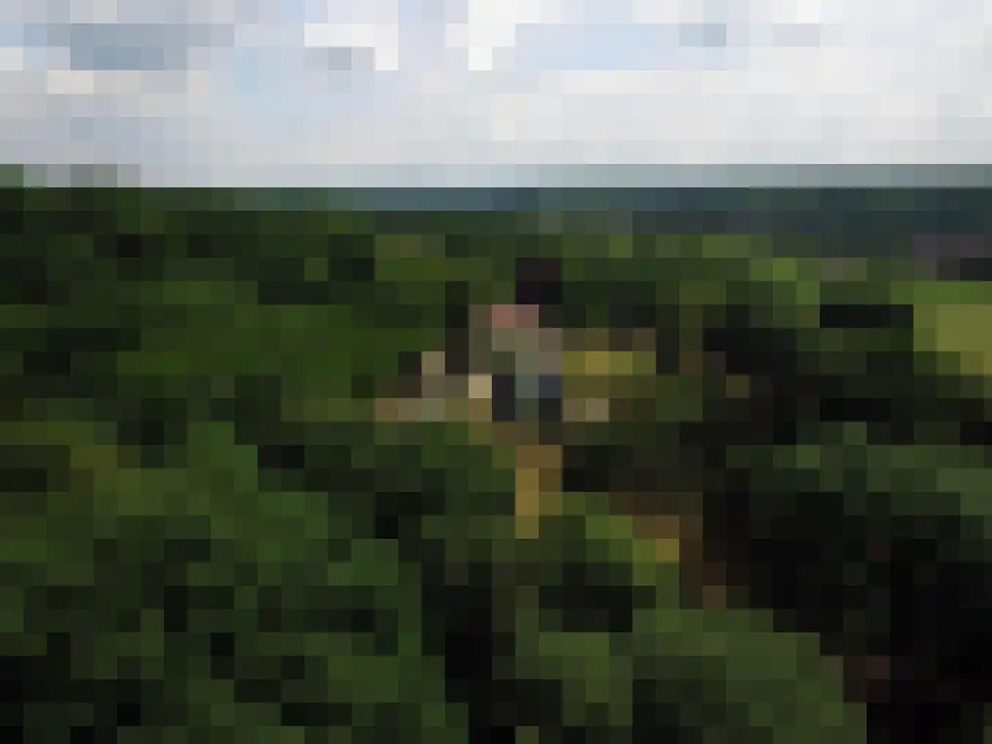 Meerssenderweg 30 Valkenburg thumbnail 4