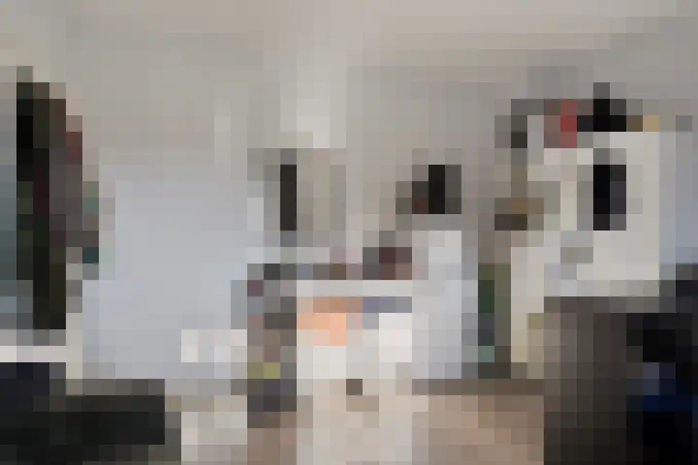 Meerssenerweg 126 Maastricht thumbnail 15