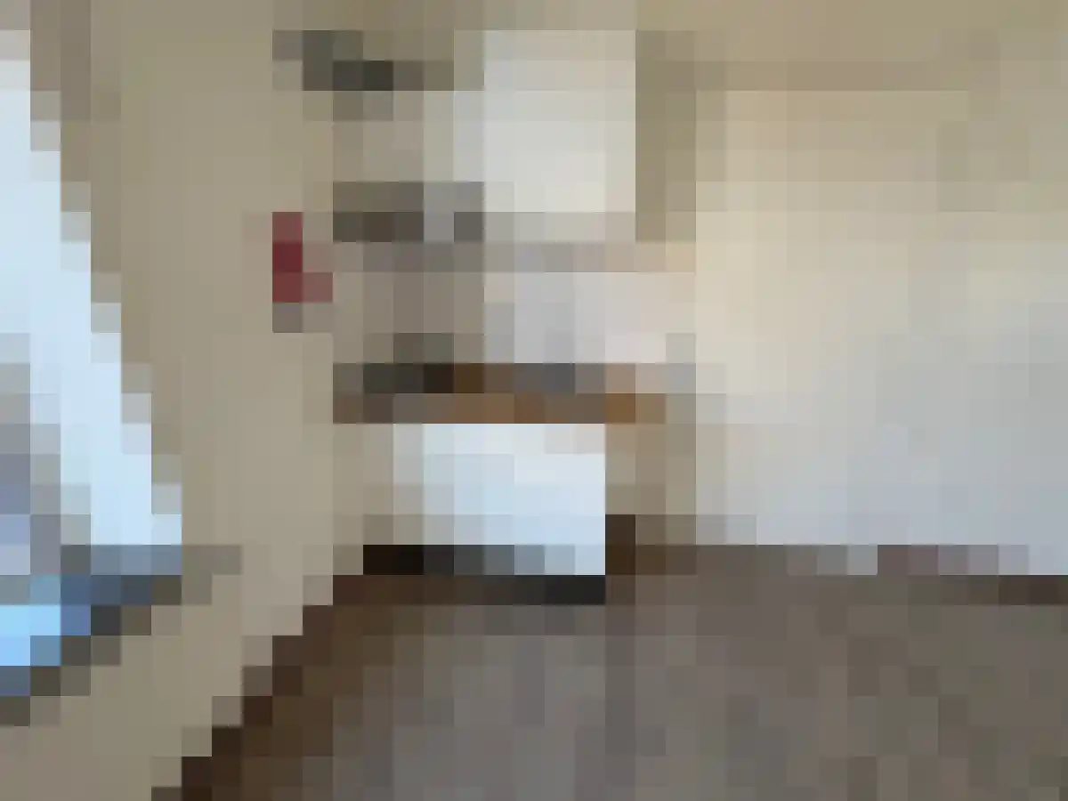 Meerssenerweg 13 4 Maastricht thumbnail 6