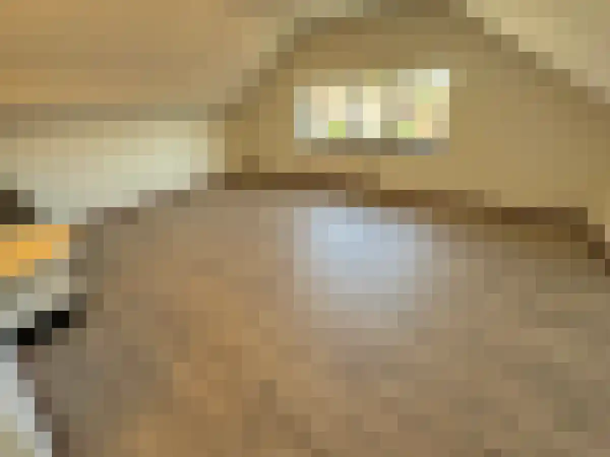 Meerssenerweg 13 9 Maastricht thumbnail 5