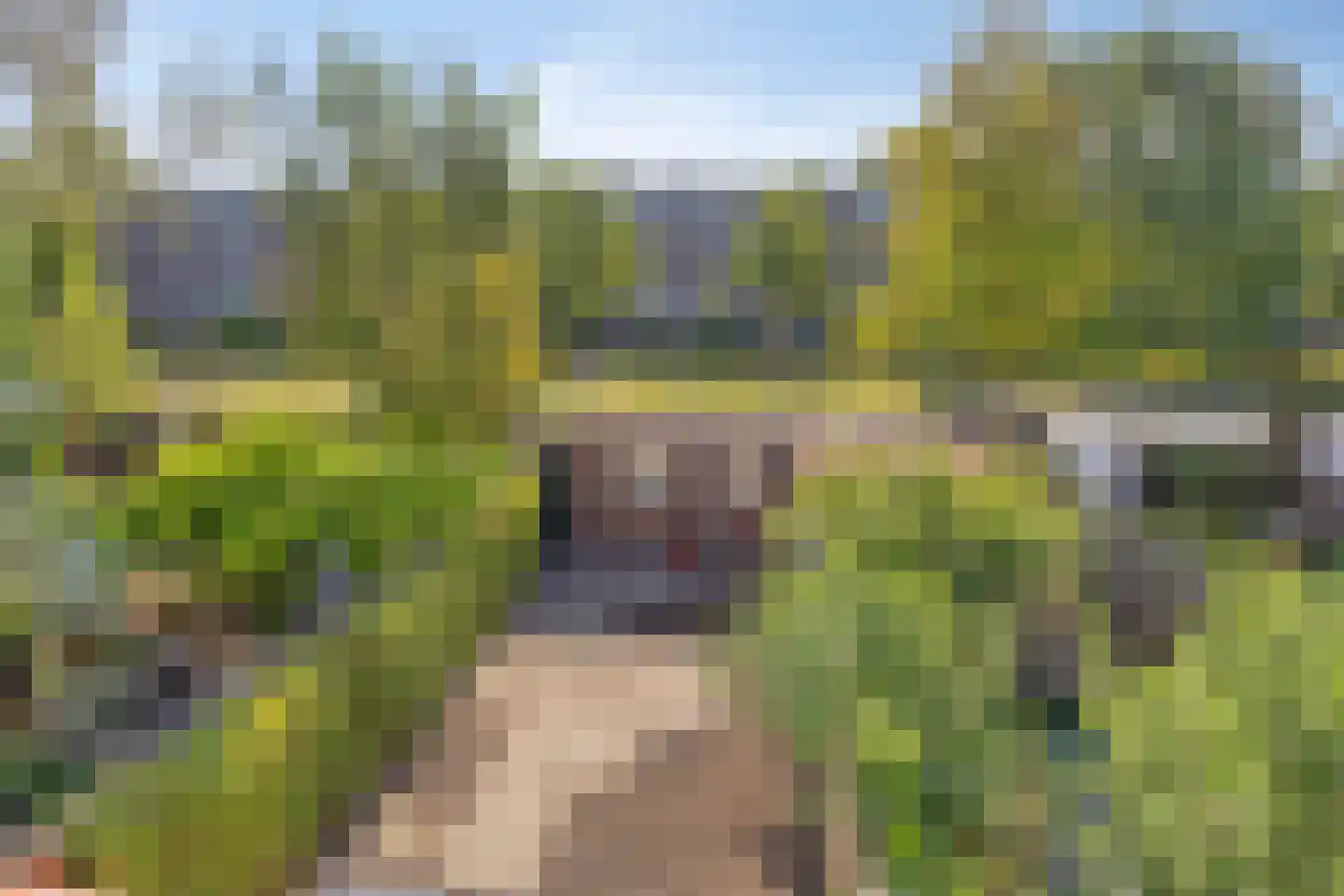 Meerssenerweg 193 Maastricht thumbnail 23