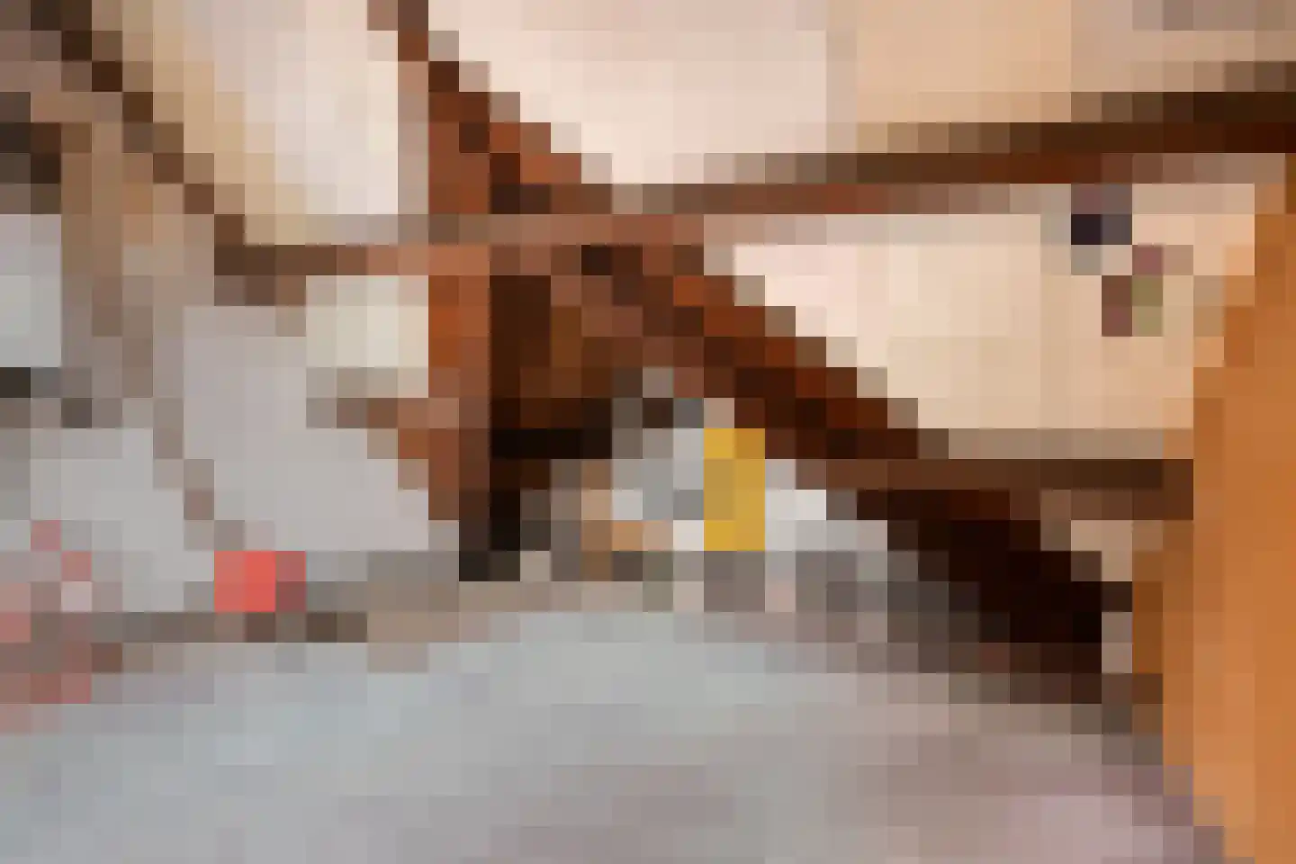 Meerssenerweg 251 Maastricht thumbnail 28