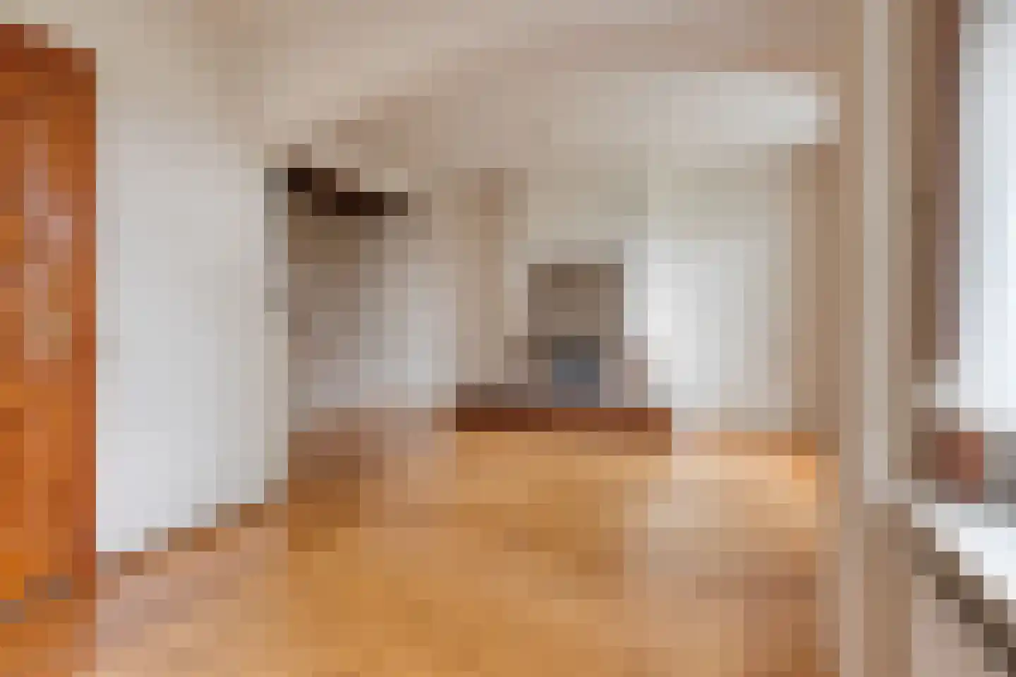Meerssenerweg 251 Maastricht thumbnail 6