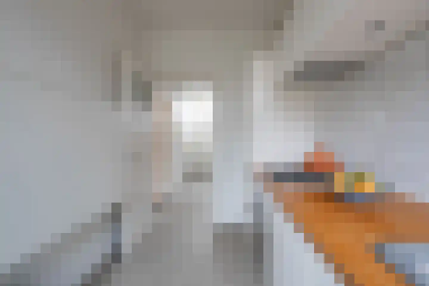 Meerssenerweg 267 Maastricht thumbnail 8