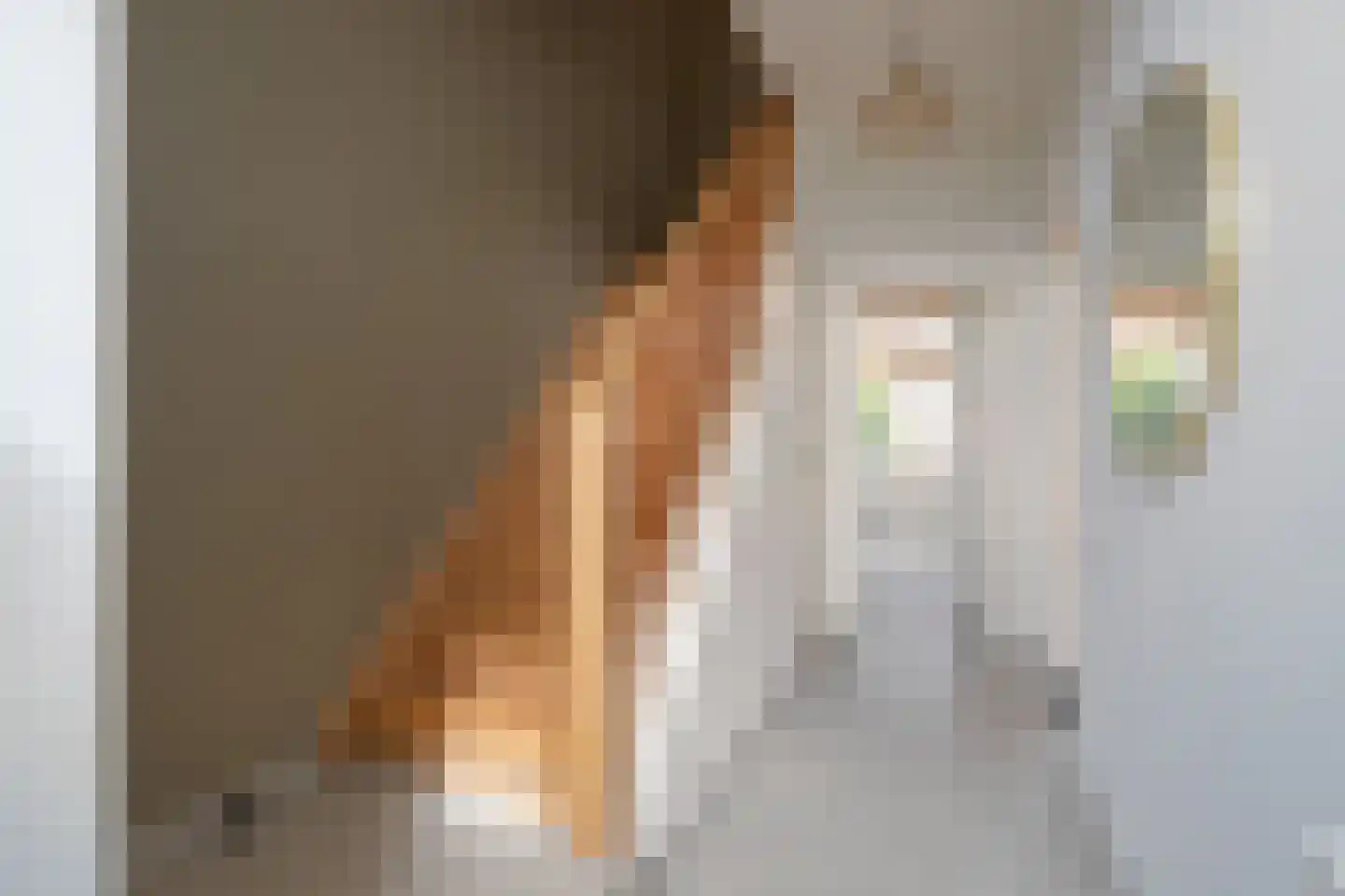 Meerssenerweg 267 Maastricht thumbnail 9