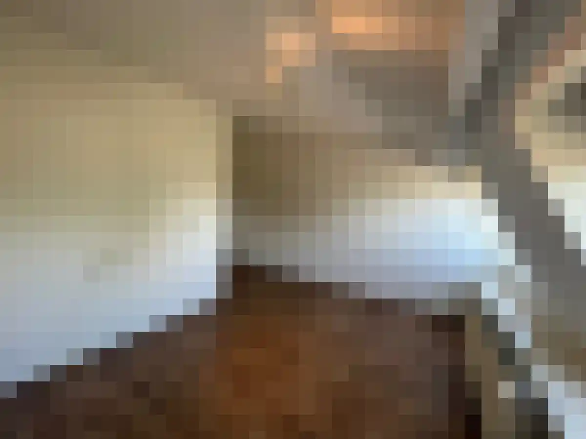 Meerssenerweg 35 Maastricht thumbnail 4