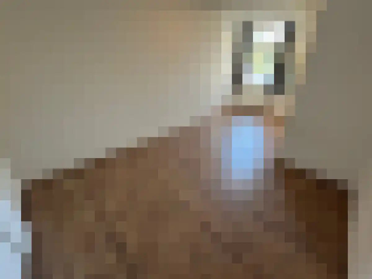 Meerssenerweg 35 Maastricht thumbnail 5
