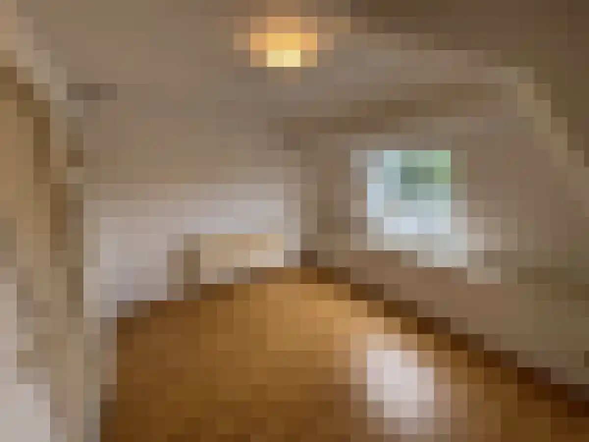 Meerssenerweg 35 Maastricht thumbnail 5