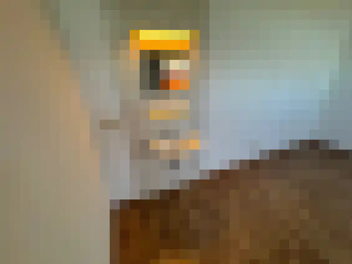 Meerssenerweg 35 Maastricht thumbnail 6