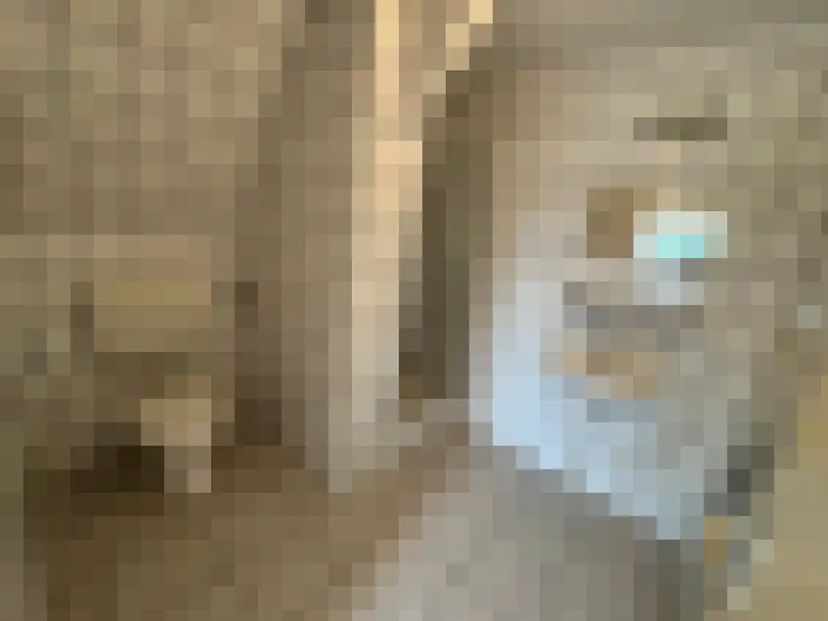 Meerssenerweg 35 Maastricht thumbnail 6