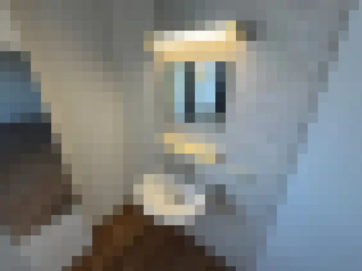 Meerssenerweg 35 Maastricht thumbnail 6