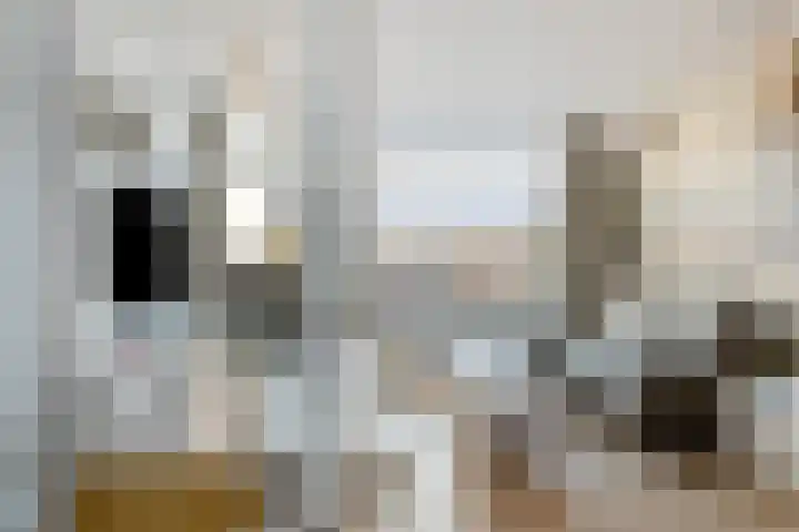 Meerssenerweg 5 K Maastricht thumbnail 13