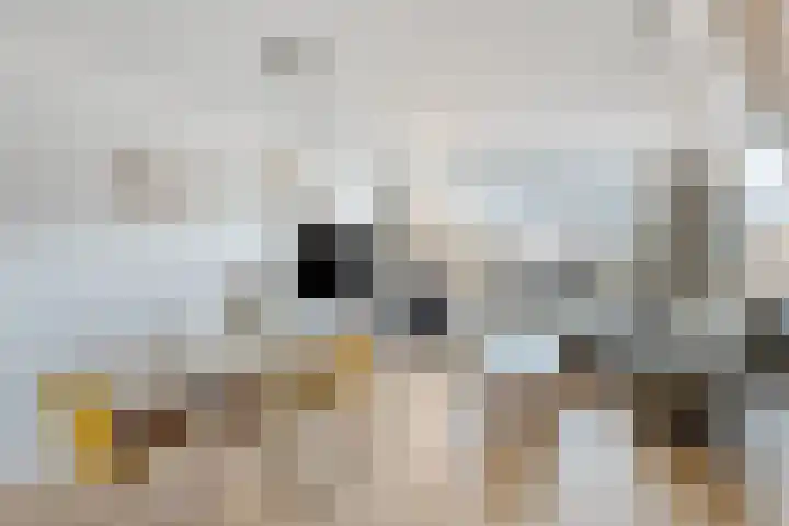 Meerssenerweg 5 K Maastricht thumbnail 14