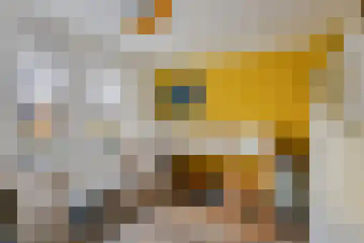 Meerssenerweg 5 K Maastricht thumbnail 25