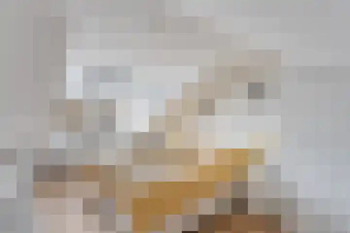 Meerssenerweg 5 K Maastricht thumbnail 4