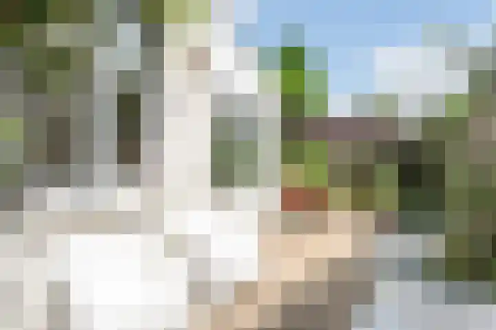 Meerssenerweg 65 A Maastricht thumbnail 22