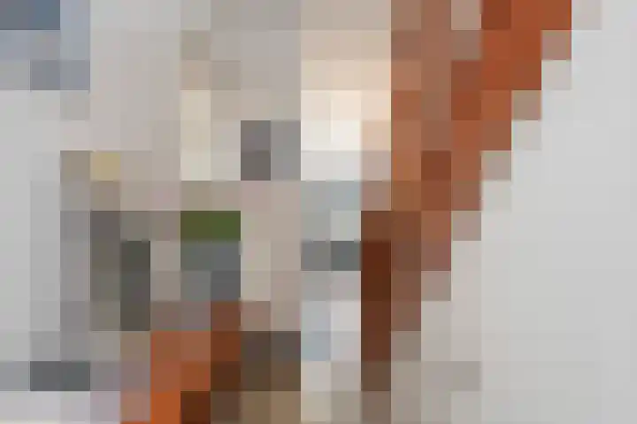 Meerssenerweg 65 A Maastricht thumbnail 7