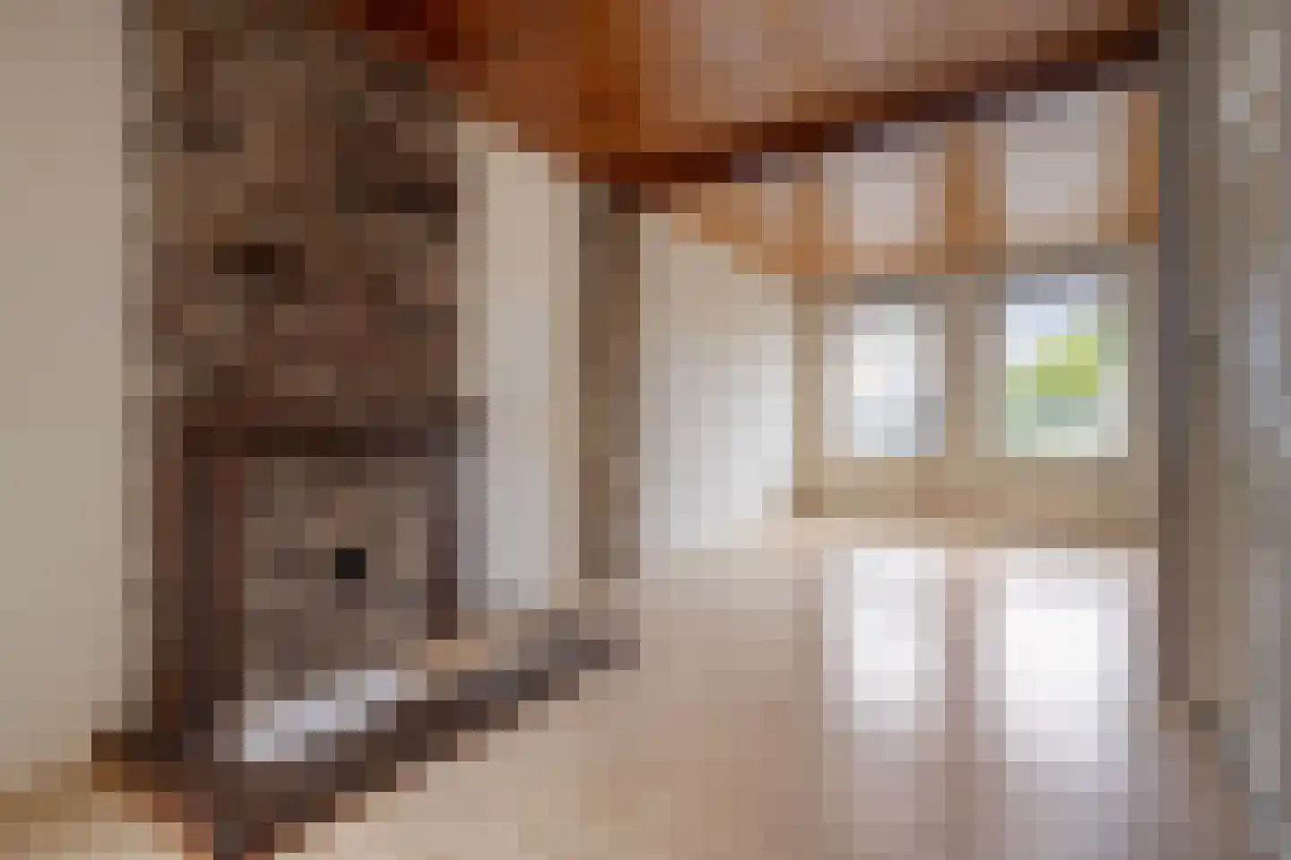 Meerssenerweg 67 B Maastricht thumbnail 6
