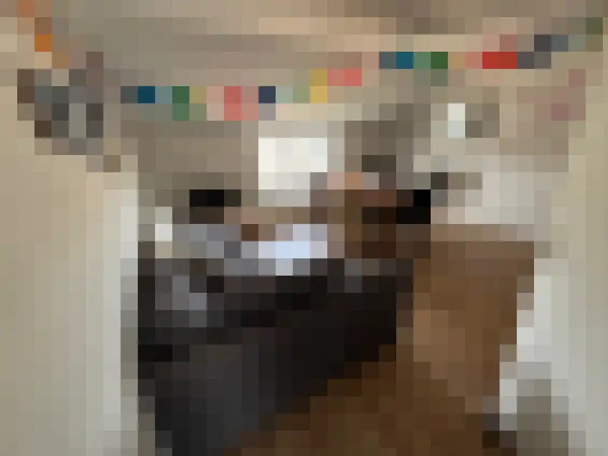 Meerssenerweg 7 Maastricht thumbnail 6