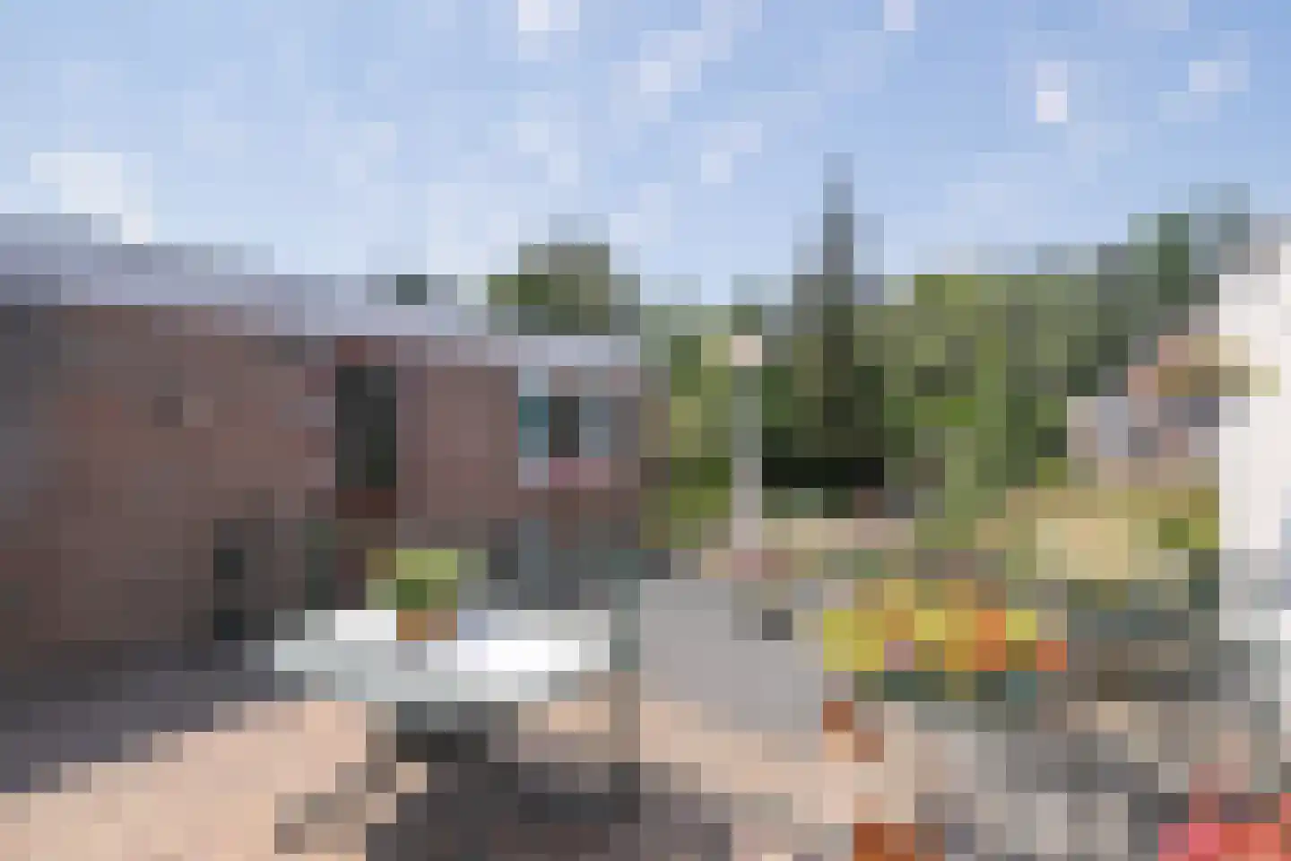 Meerssenerweg 82 Maastricht thumbnail 19