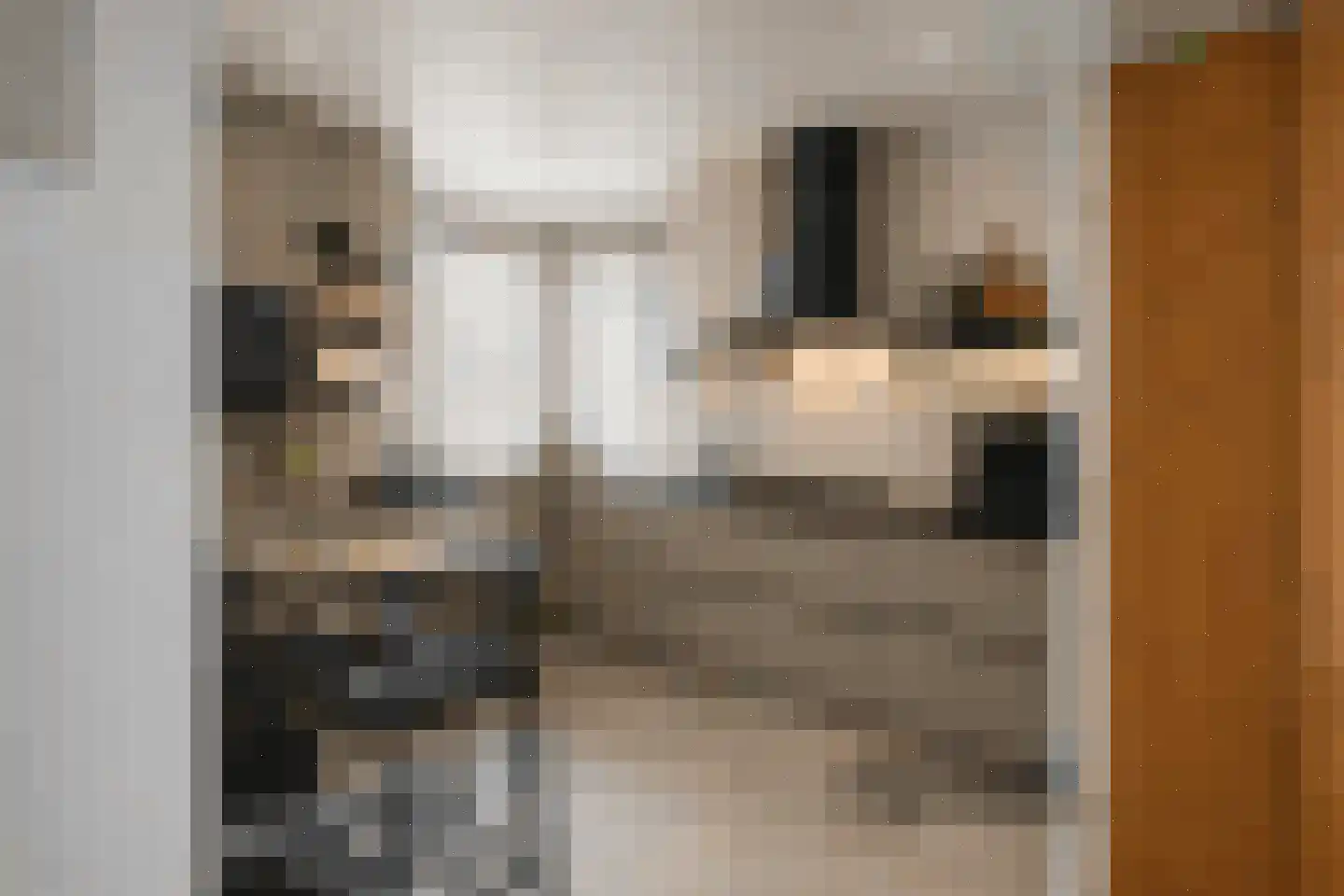 Meerssenerweg 82 Maastricht thumbnail 8