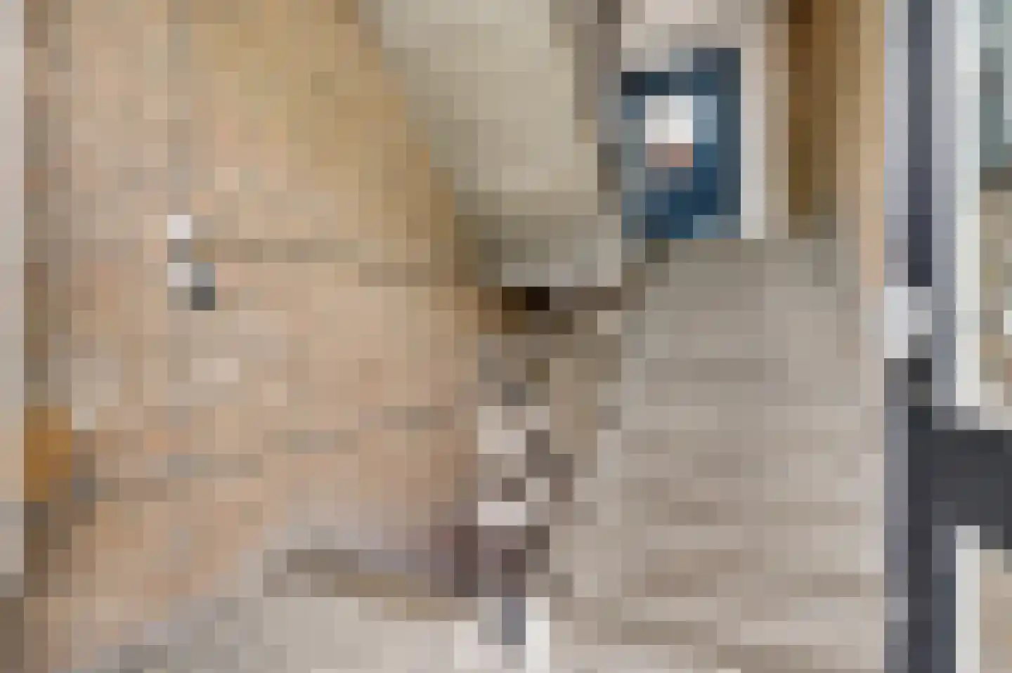 Meerssenerweg 93 C Maastricht thumbnail 4