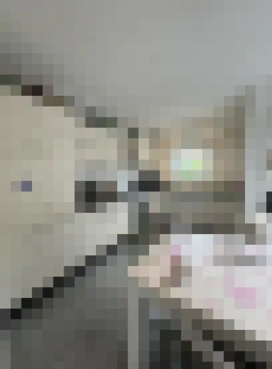 Meerssenerweg Maastricht thumbnail 4