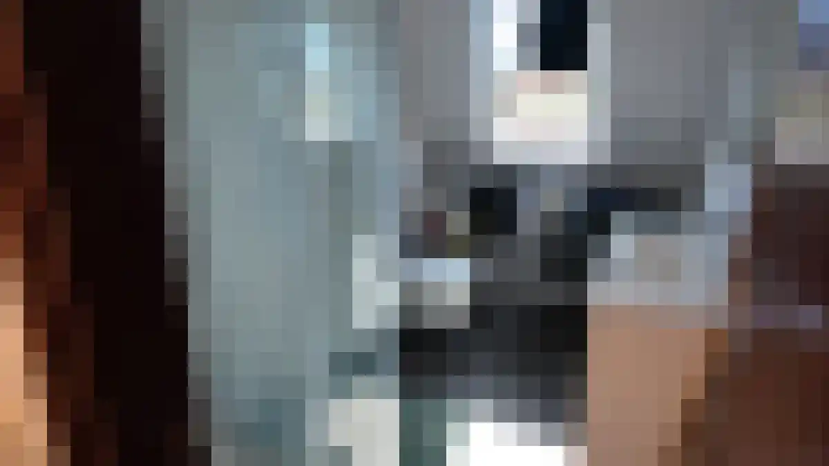 Meerssenerweg Maastricht thumbnail 5