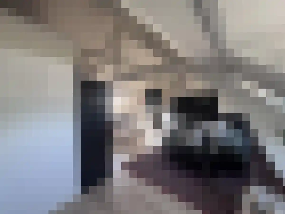 Meerssenerweg Maastricht thumbnail 5
