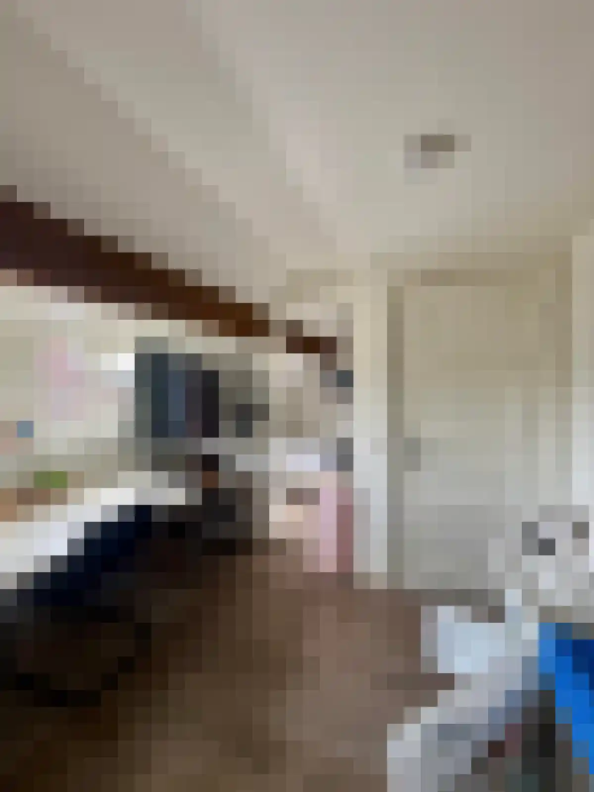 Meerssenerweg Maastricht thumbnail 5